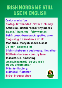 Irish Language Poster: Irish words we use in English.