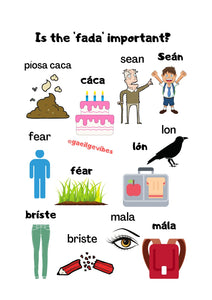 Irish Language Poster: Is the fada important? #2